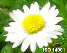 Blume_ISO14001